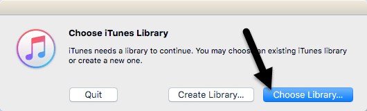 iTunes Library