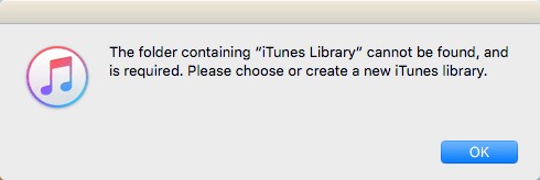 iTunes Library